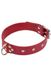 Ошейник Dominant Collar, Red