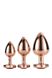 Dt21792 набір анальних пробок GLEAMING LOVE ROSE GOLD PLUG SET, Золотий