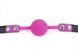 Кляп силиконовый с замком Silicone ball gag rose with lock