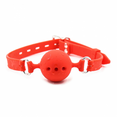 Кляп силіконовий DS Fetish Silicone gag M red